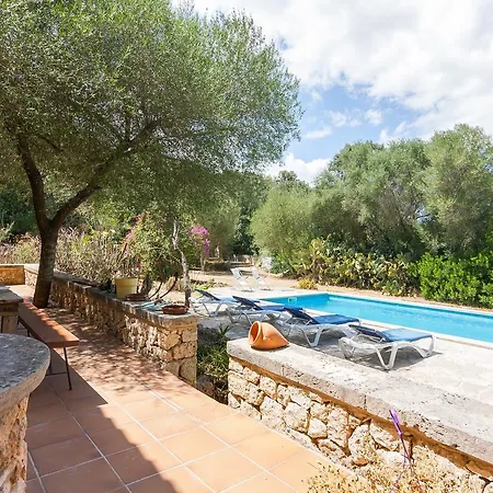 Gallet * Costitx (Mallorca)