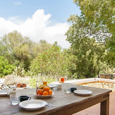 Gallet Villa Costitx (Mallorca)