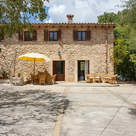 Gallet Costitx (Mallorca)