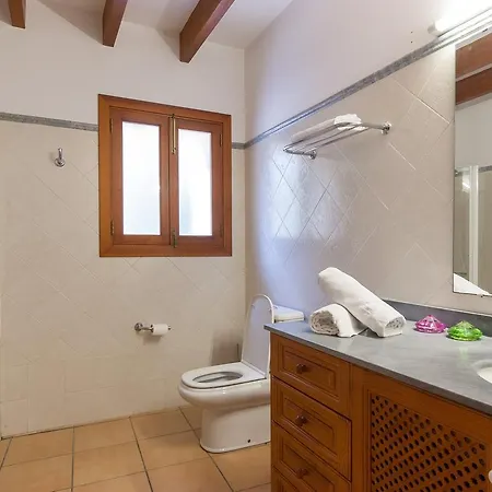 Gallet Costitx (Mallorca)